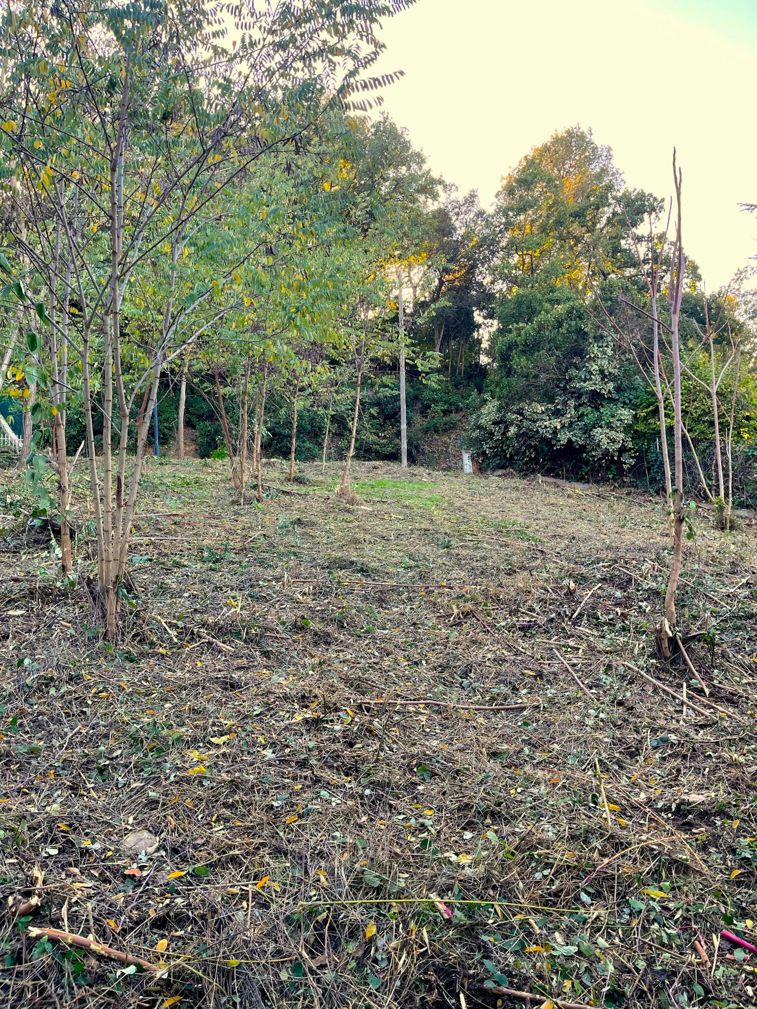  for sale plot Les Planes Vallès Occidental 2