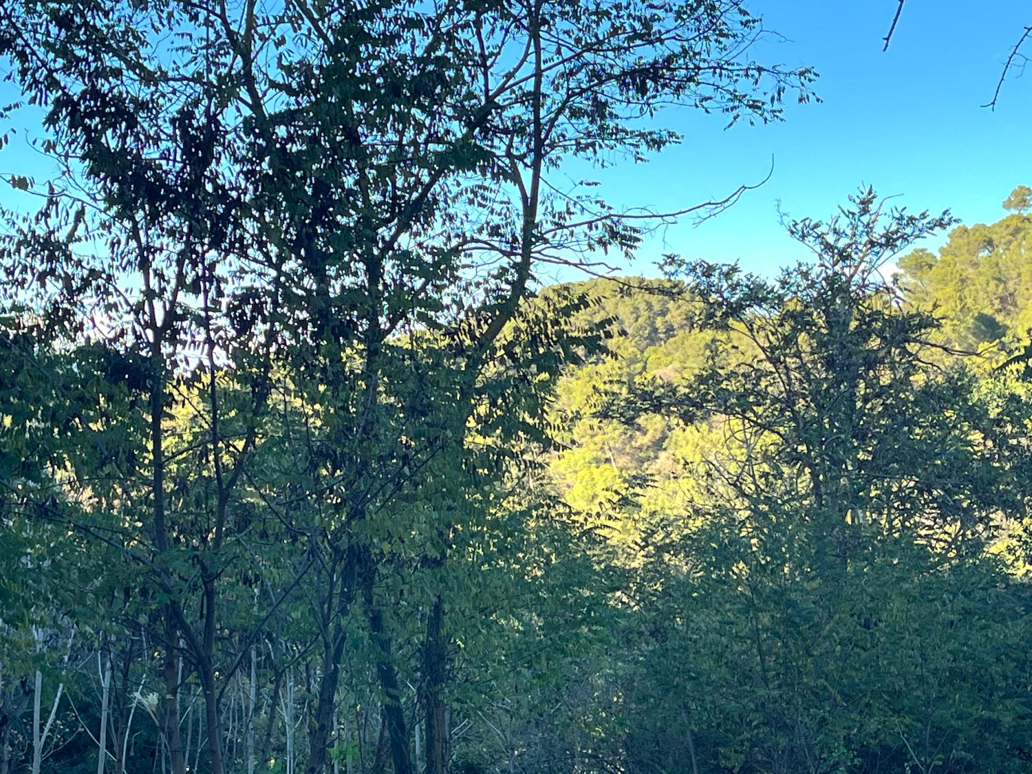  for sale plot Les Planes Vallès Occidental 9