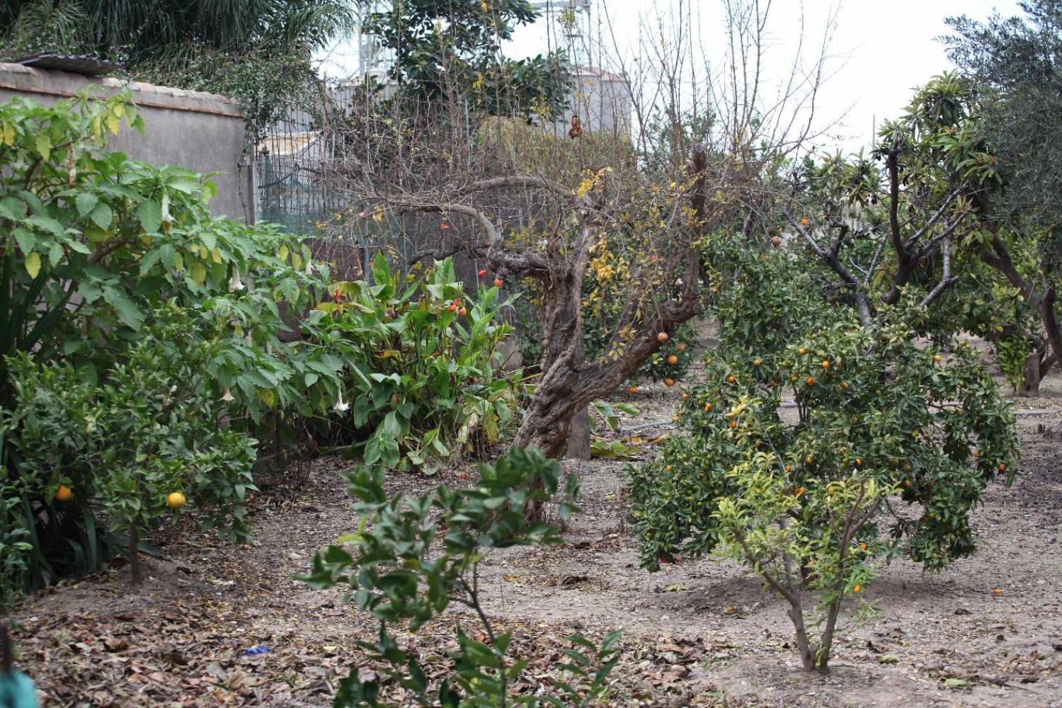  for sale villa Sollana Ribera Baixa 81