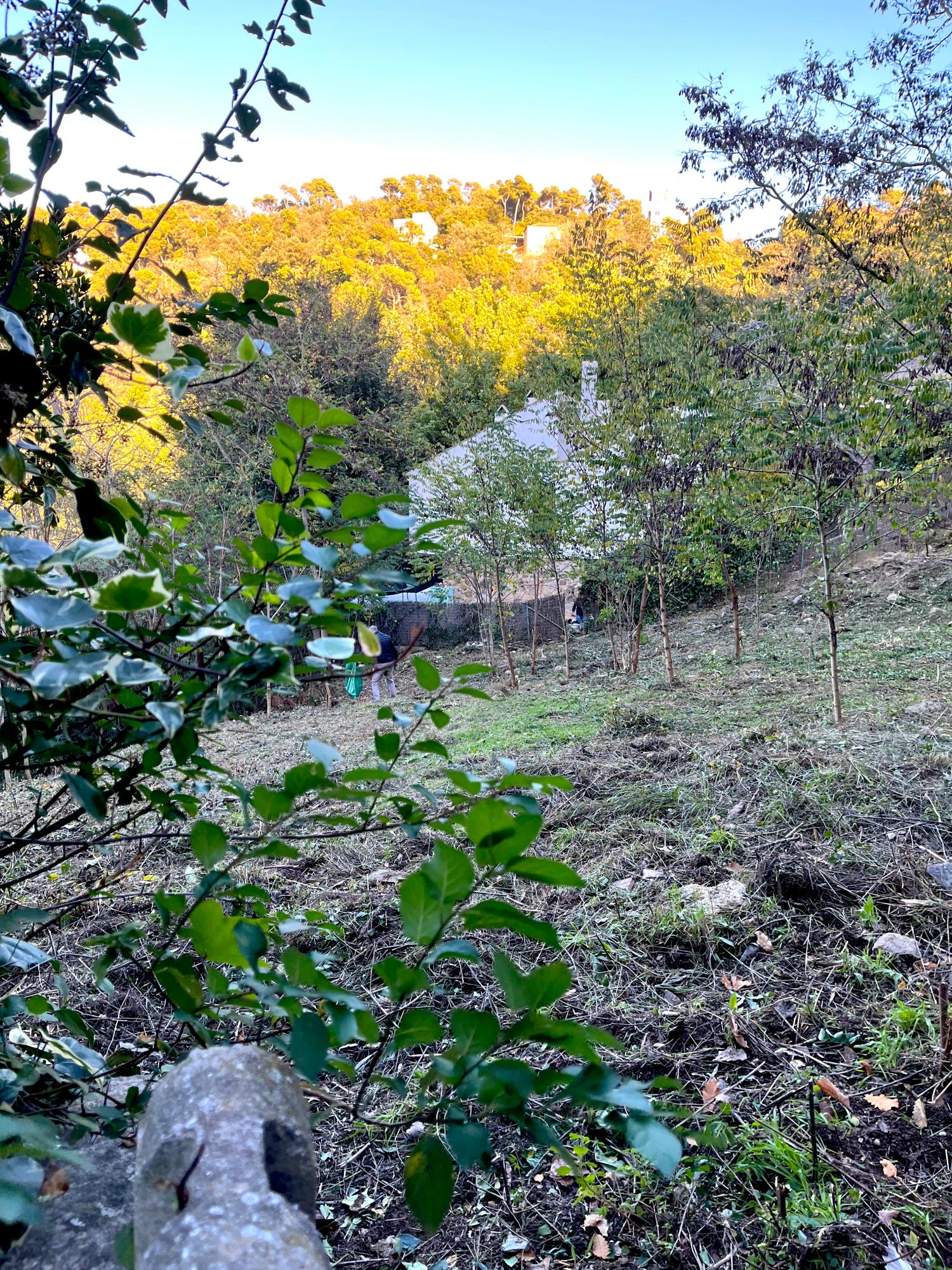  for sale plot Les Planes Vallès Occidental 3