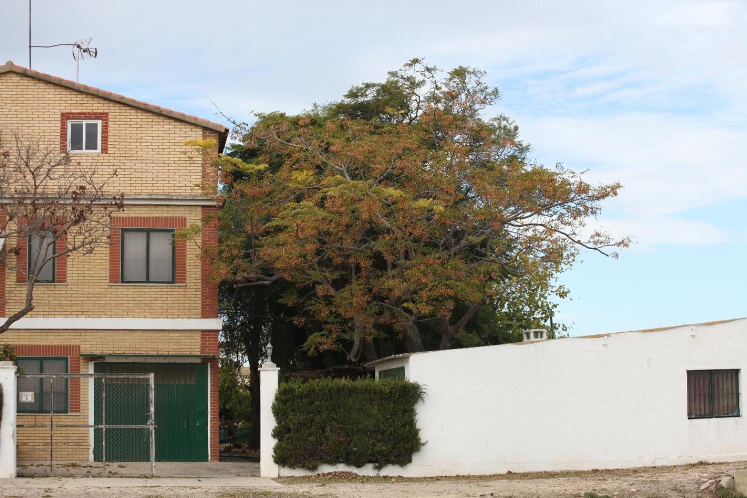  for sale villa Sollana Ribera Baixa 16