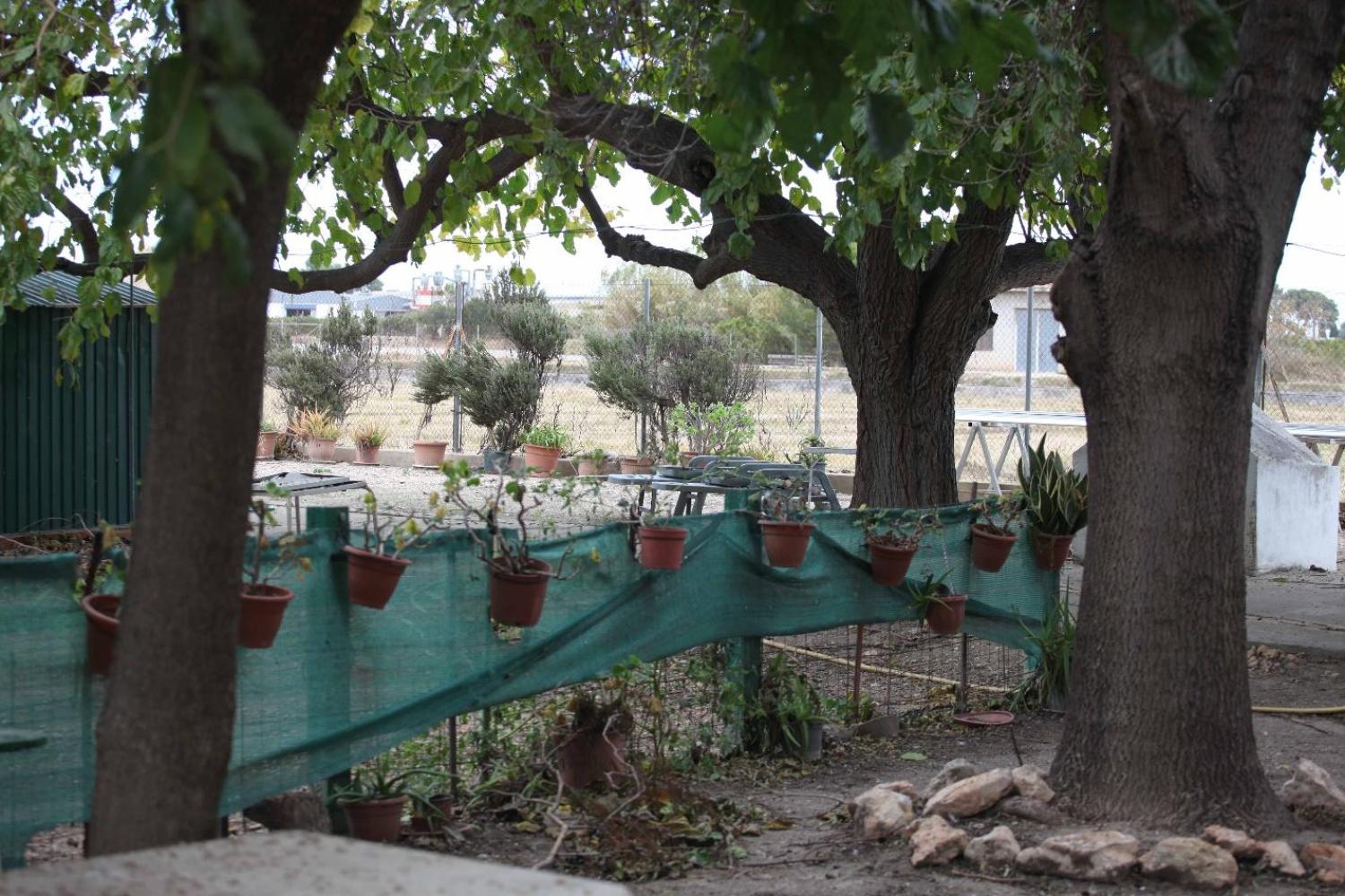  for sale villa Sollana Ribera Baixa 79