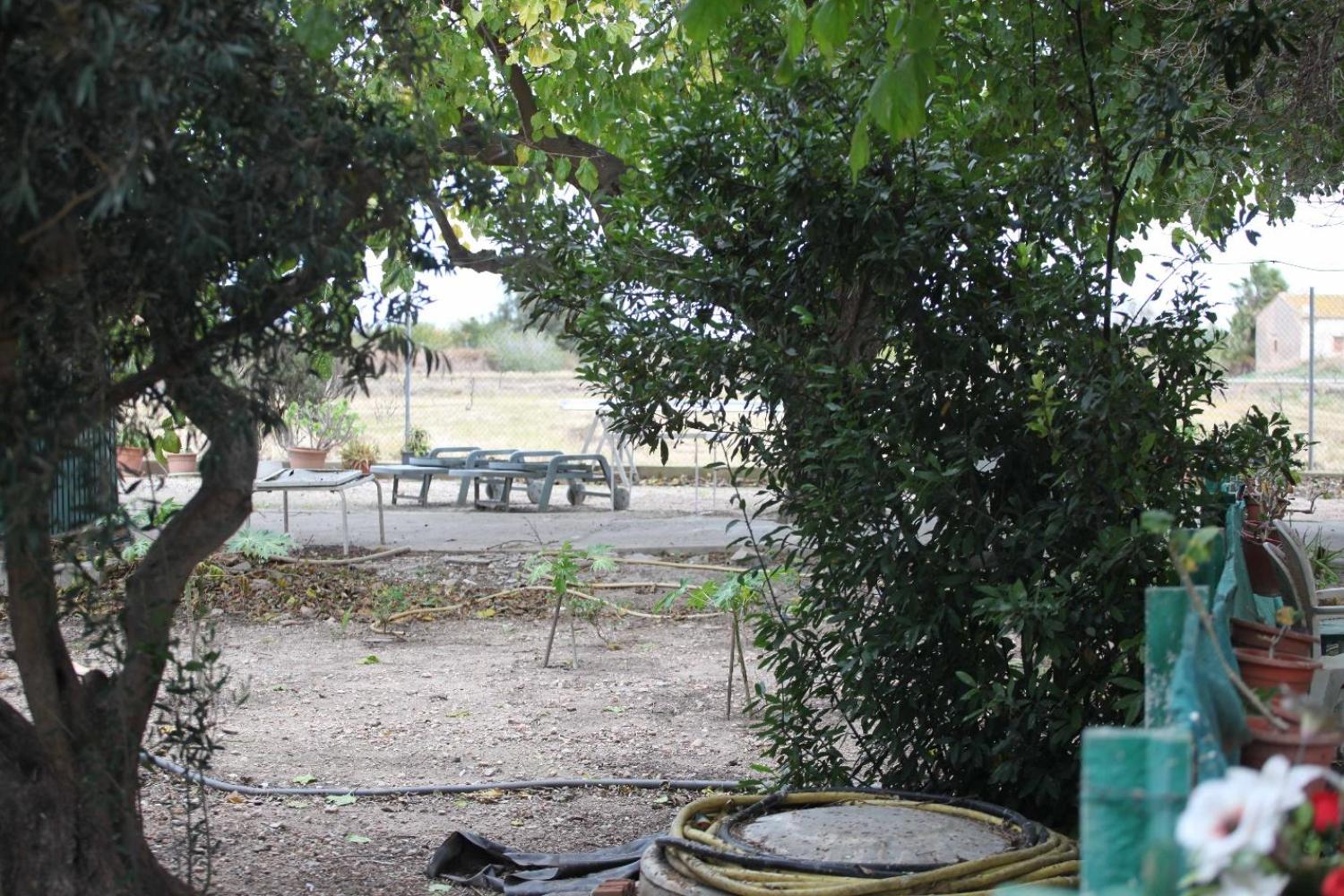  for sale villa Sollana Ribera Baixa 82