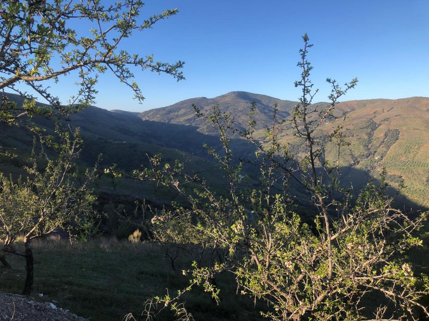  for sale house Torvizcón Alpujarra Granadina 9