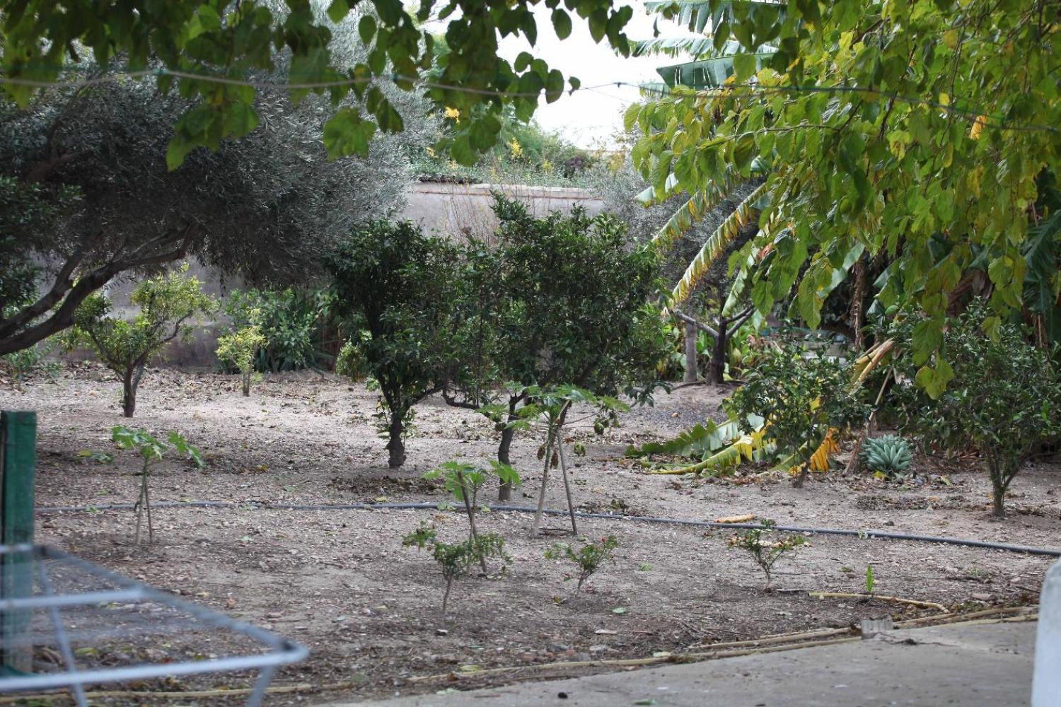  for sale villa Sollana Ribera Baixa 73