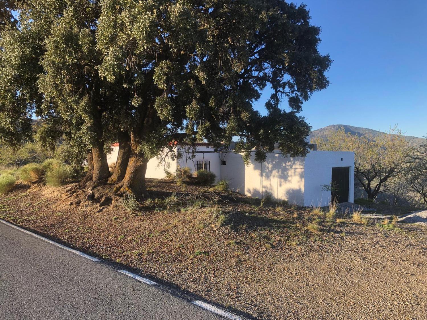  for sale house Torvizcón Alpujarra Granadina 1