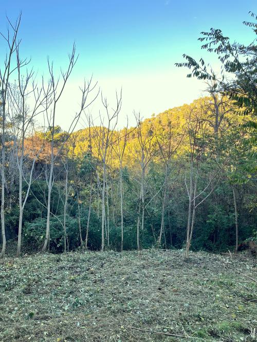 Les Planes Vallès Occidental plot foto 5408629