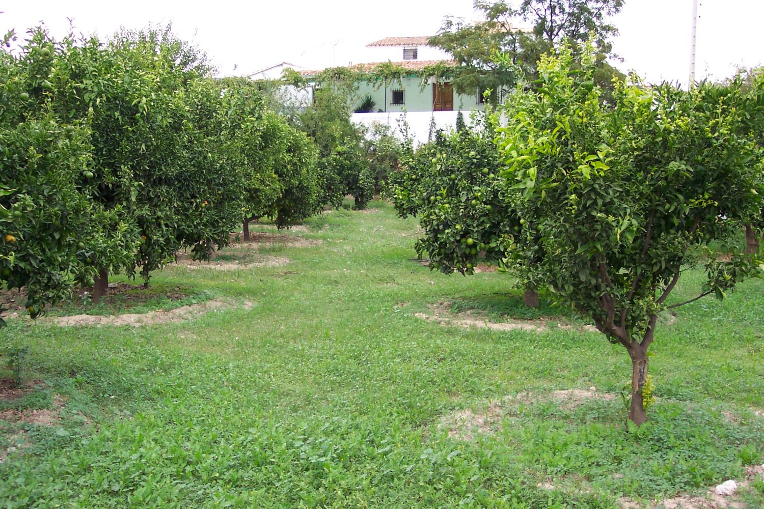  for sale country house Lubrín Levante Almeriense 1
