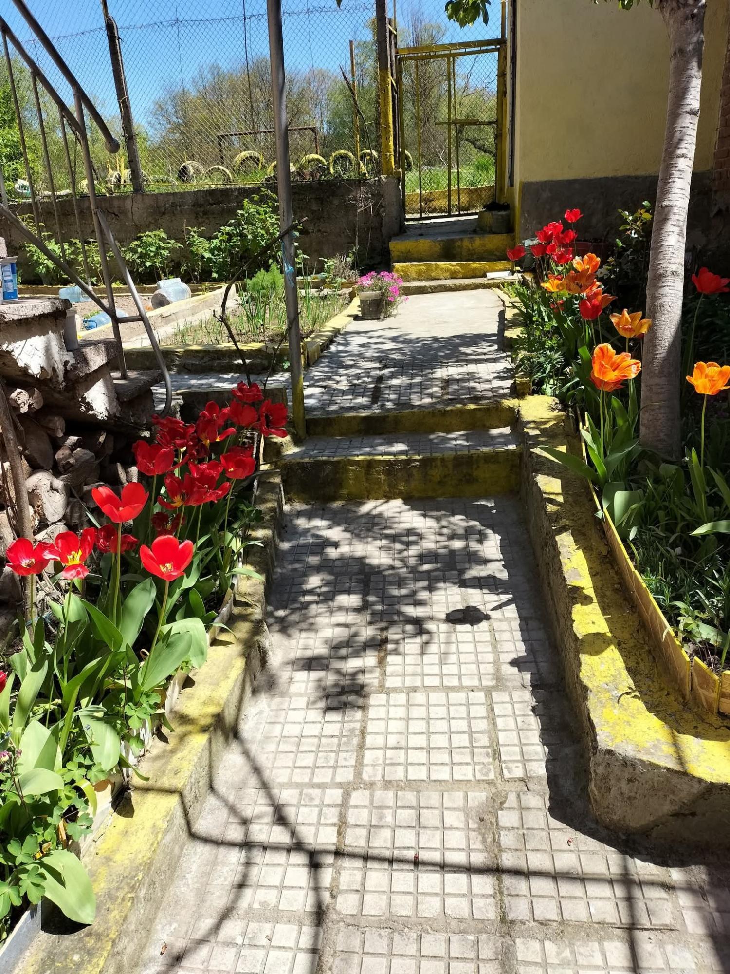 for sale country house Estepona Costa Del Sol Occidental 12