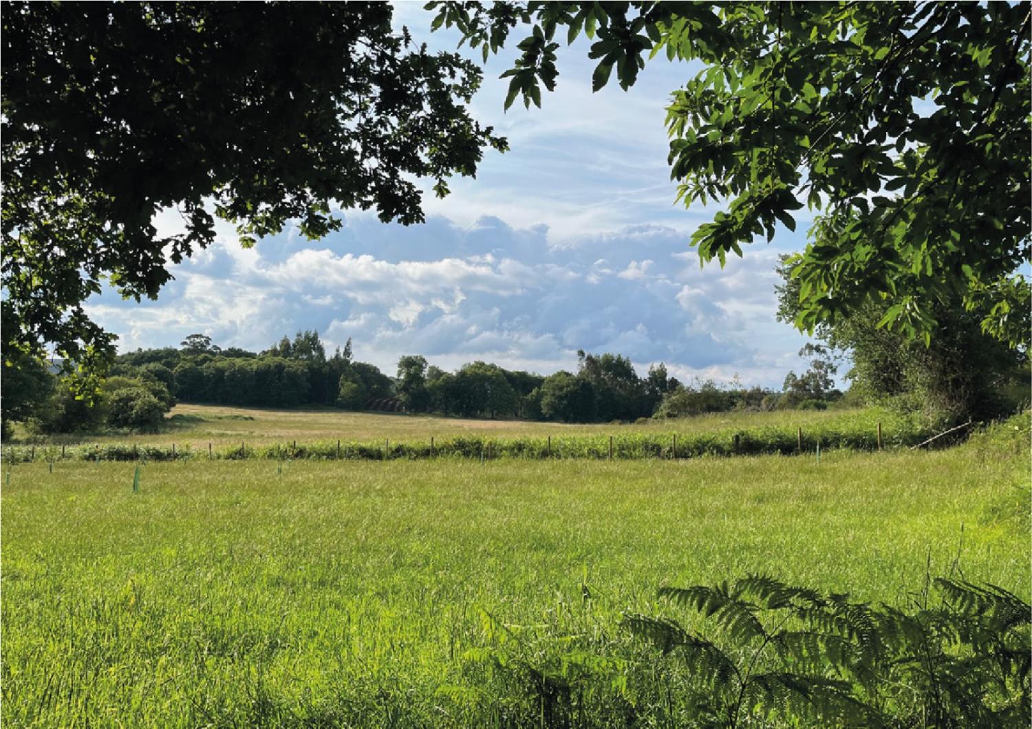  for sale plot Pousada De Arriba Tierra De Mellid 4