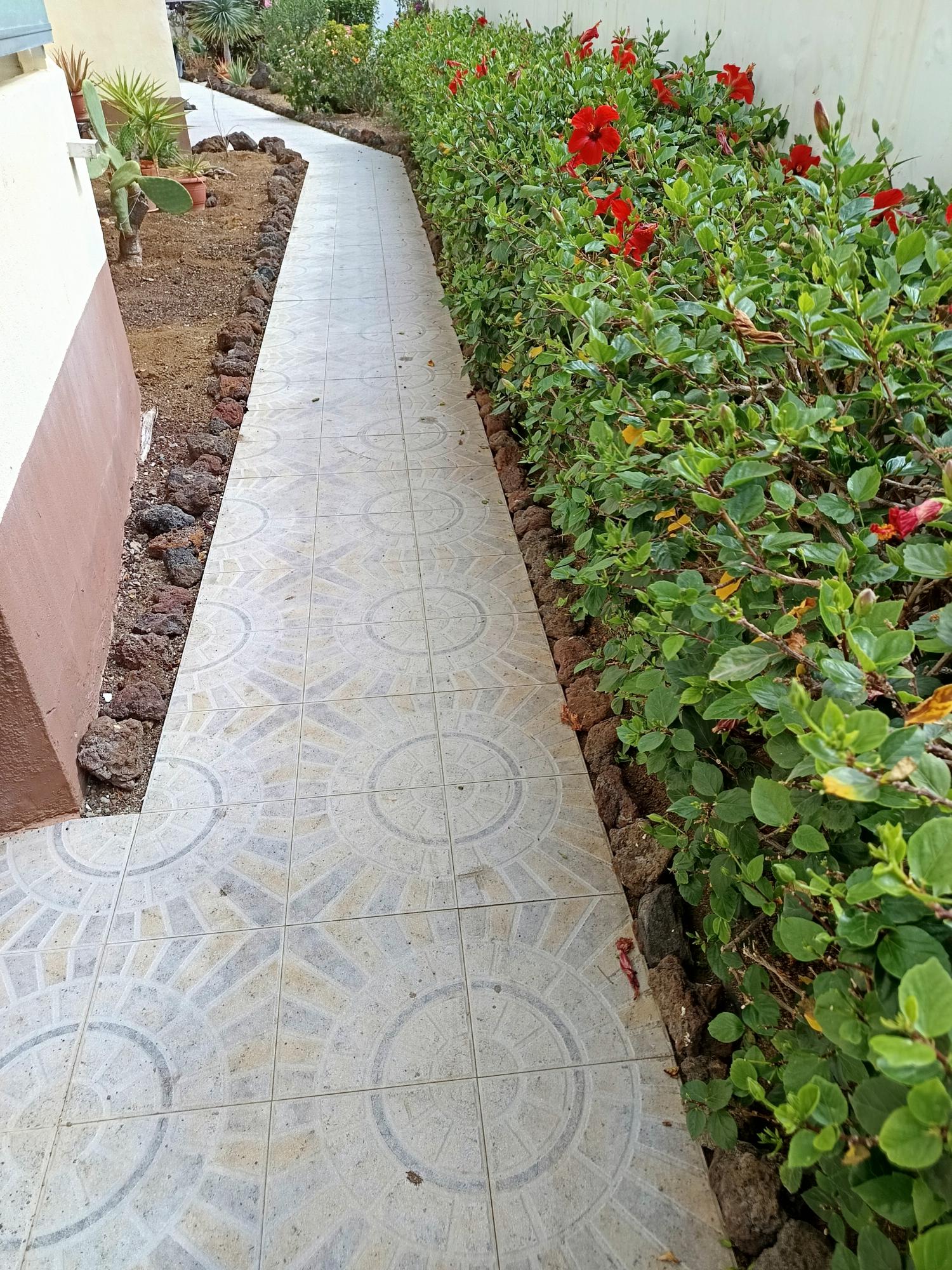  for sale apartment Las Palmas Centro 35004 Palmas De Gran Canaria (Las) 19