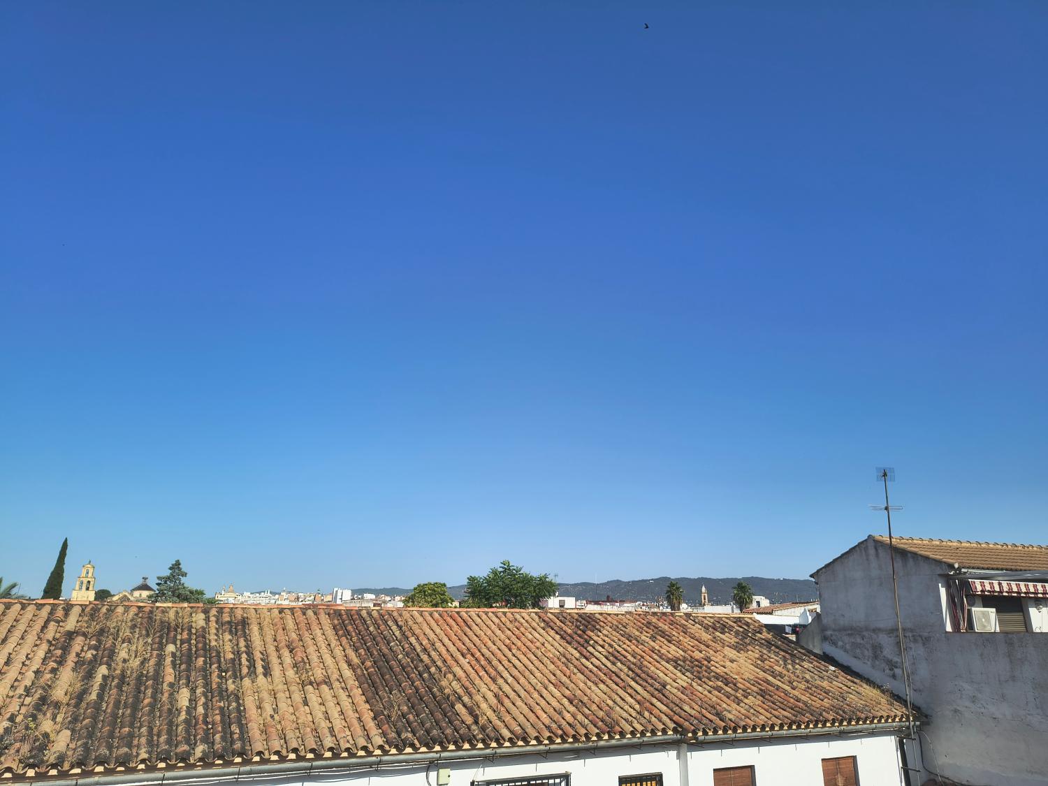  for sale duplex Córdoba Centro 14002 Córdoba 33