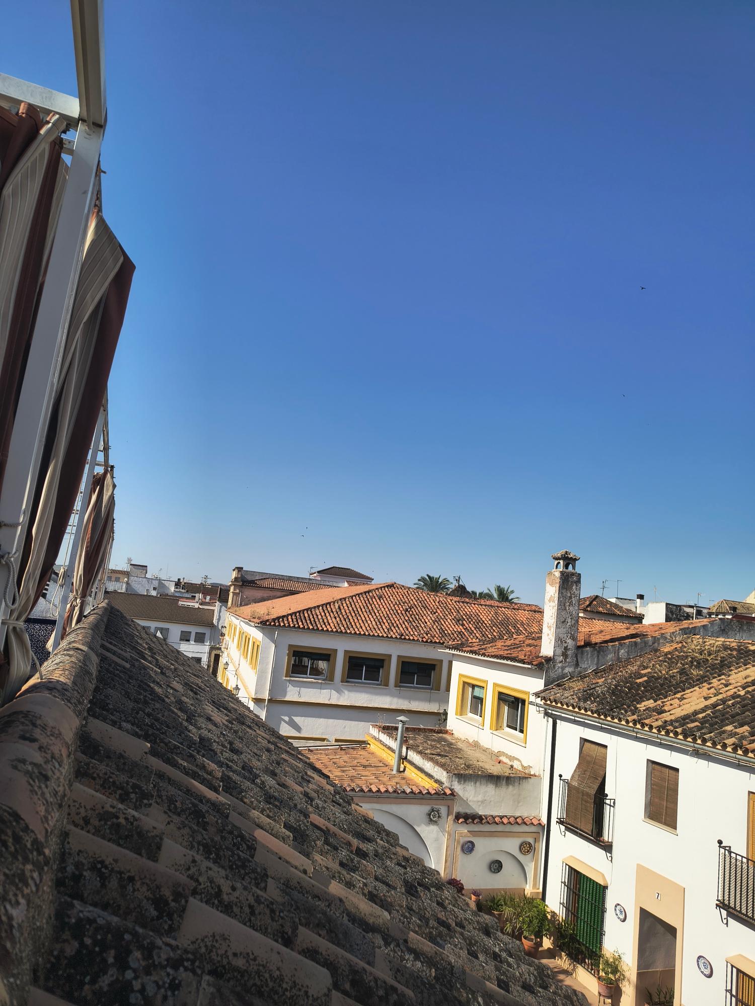  for sale duplex Córdoba Centro 14002 Córdoba 32