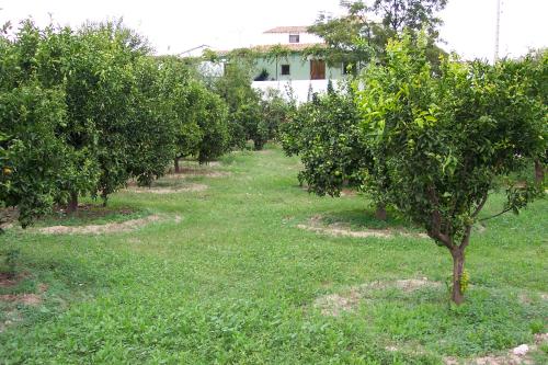 Lubrín Levante Almeriense country house foto 6217038