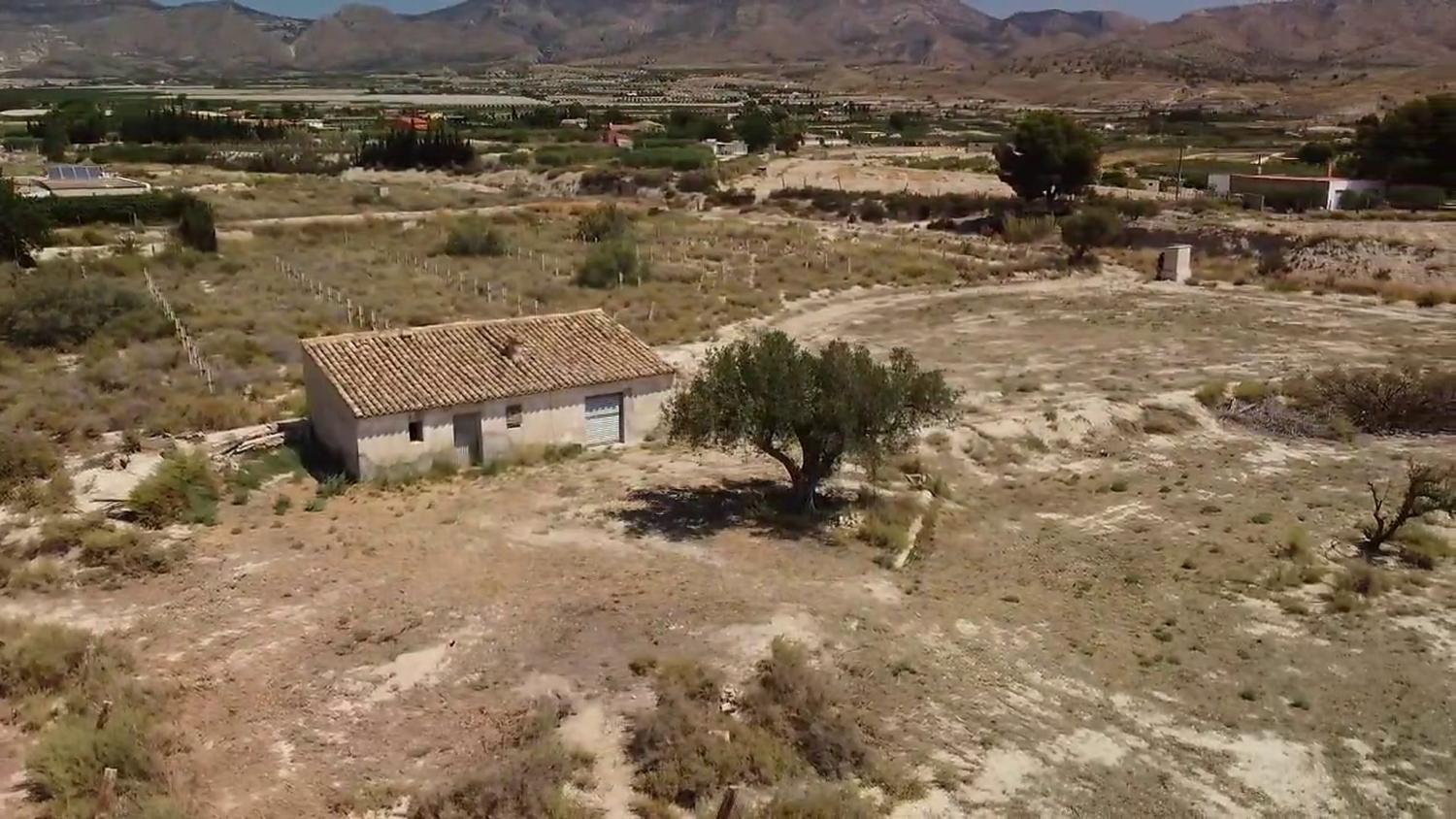  for sale plot Agost Alacantí 1
