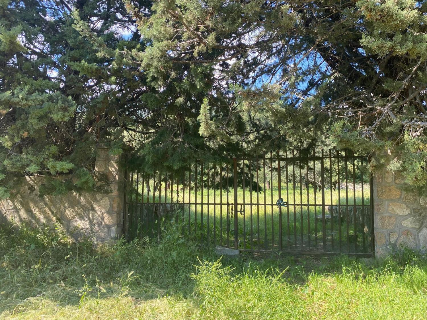  for sale plot Sotillo De La Adrada Valle Del Tiétar 2