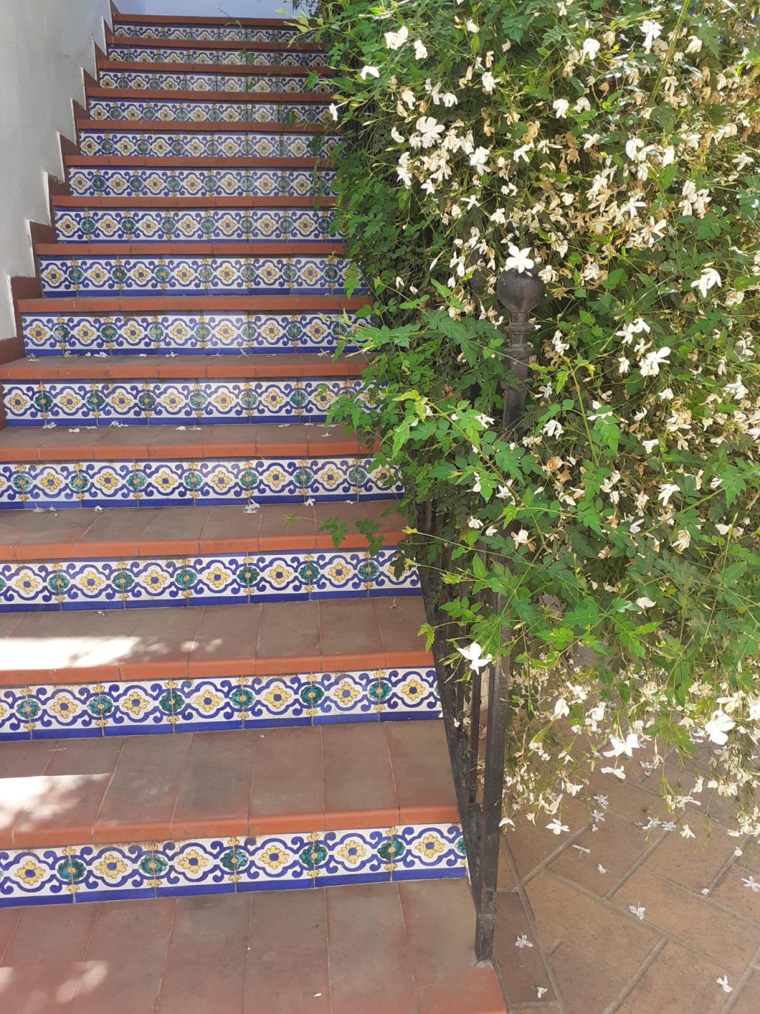  for sale manor house Écija Écija 20