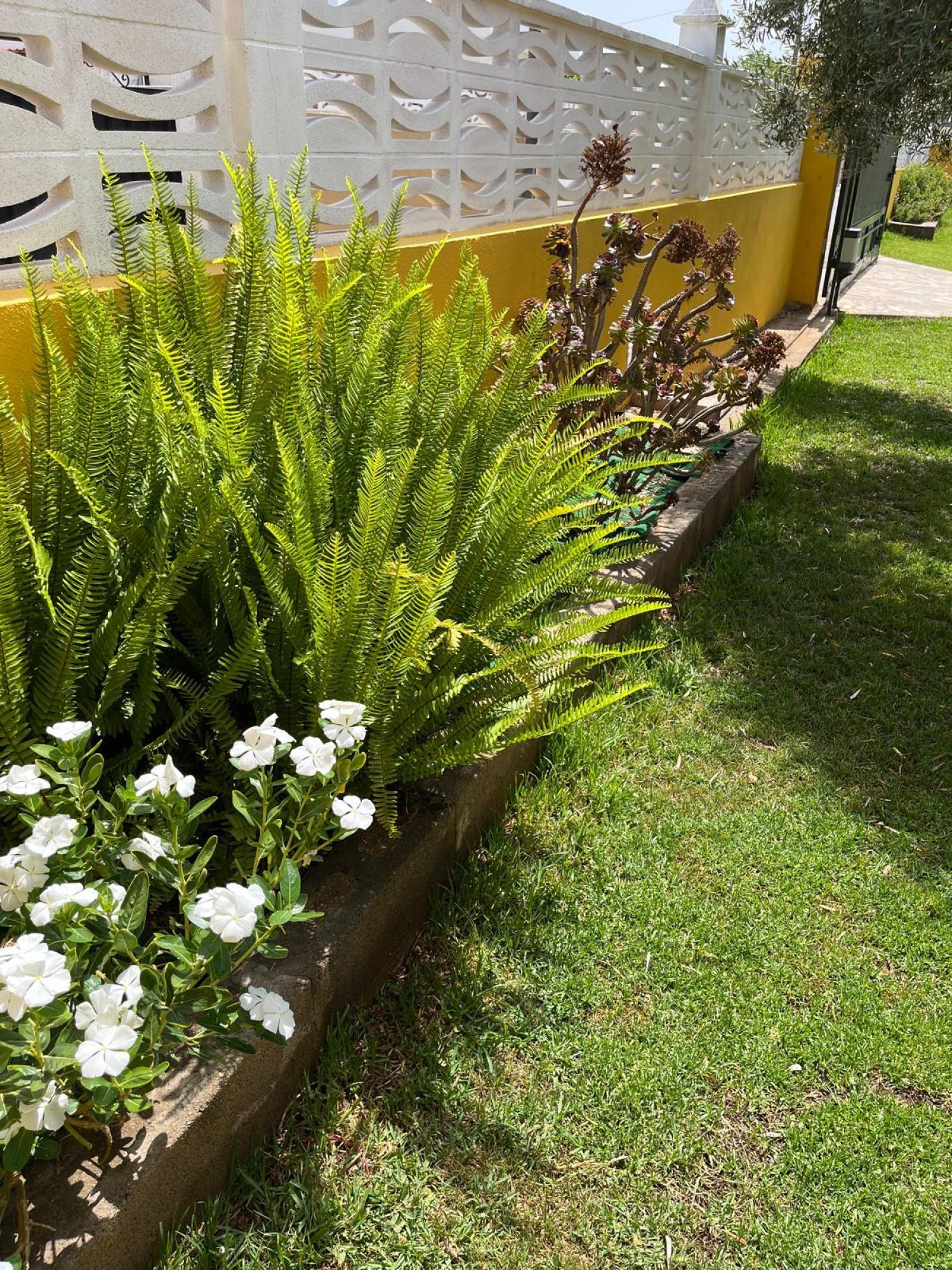  for sale villa Grao Plana Alta 47