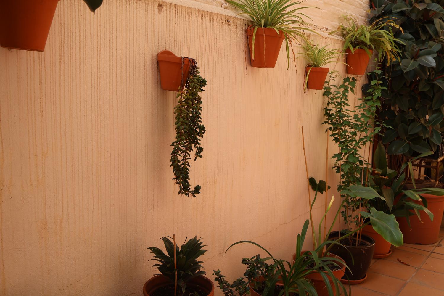  for sale semi-detached house Sant Andreu-El Congrés Y Els Indians Barcelonès 17