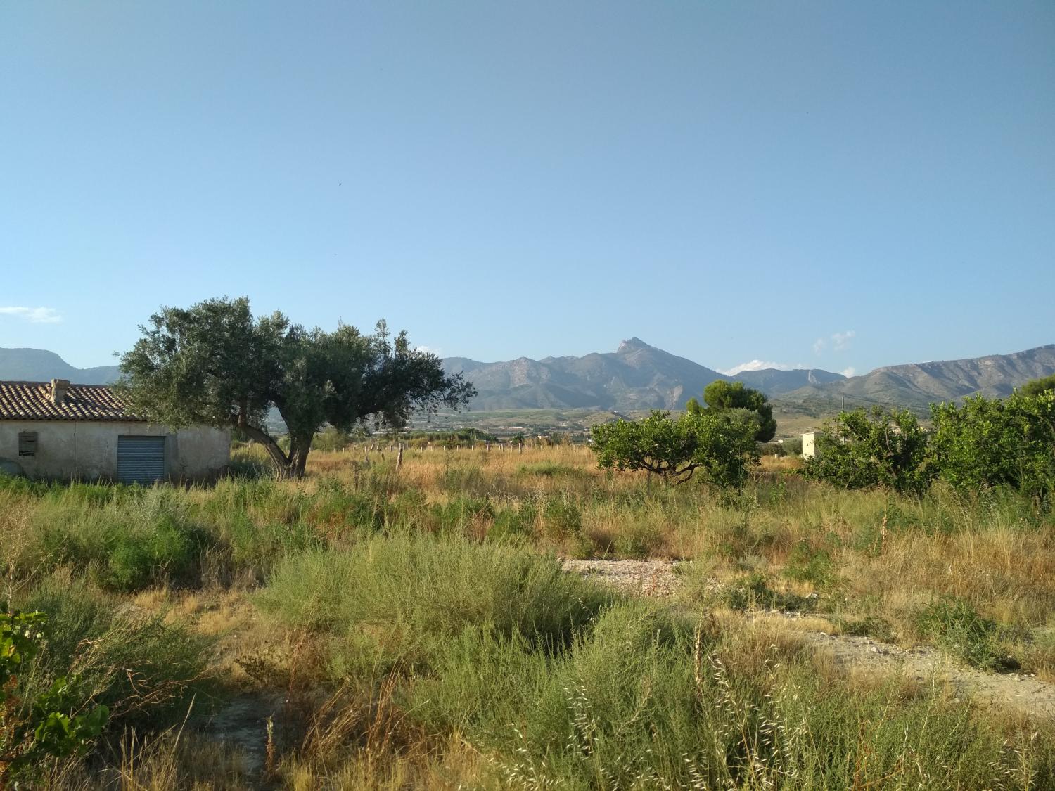  for sale plot Agost Alacantí 12