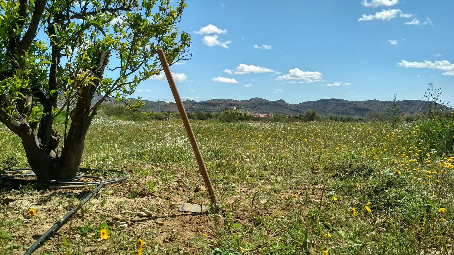  for sale plot Agost Alacantí 2