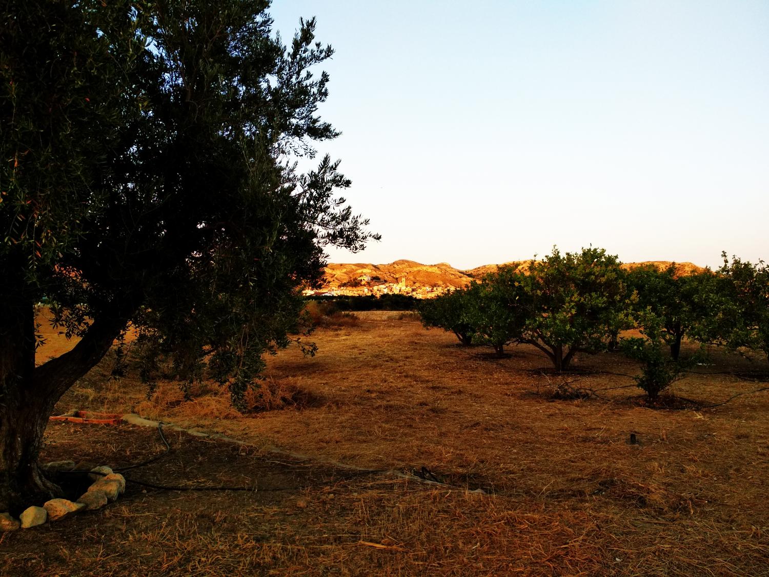  for sale plot Agost Alacantí 11