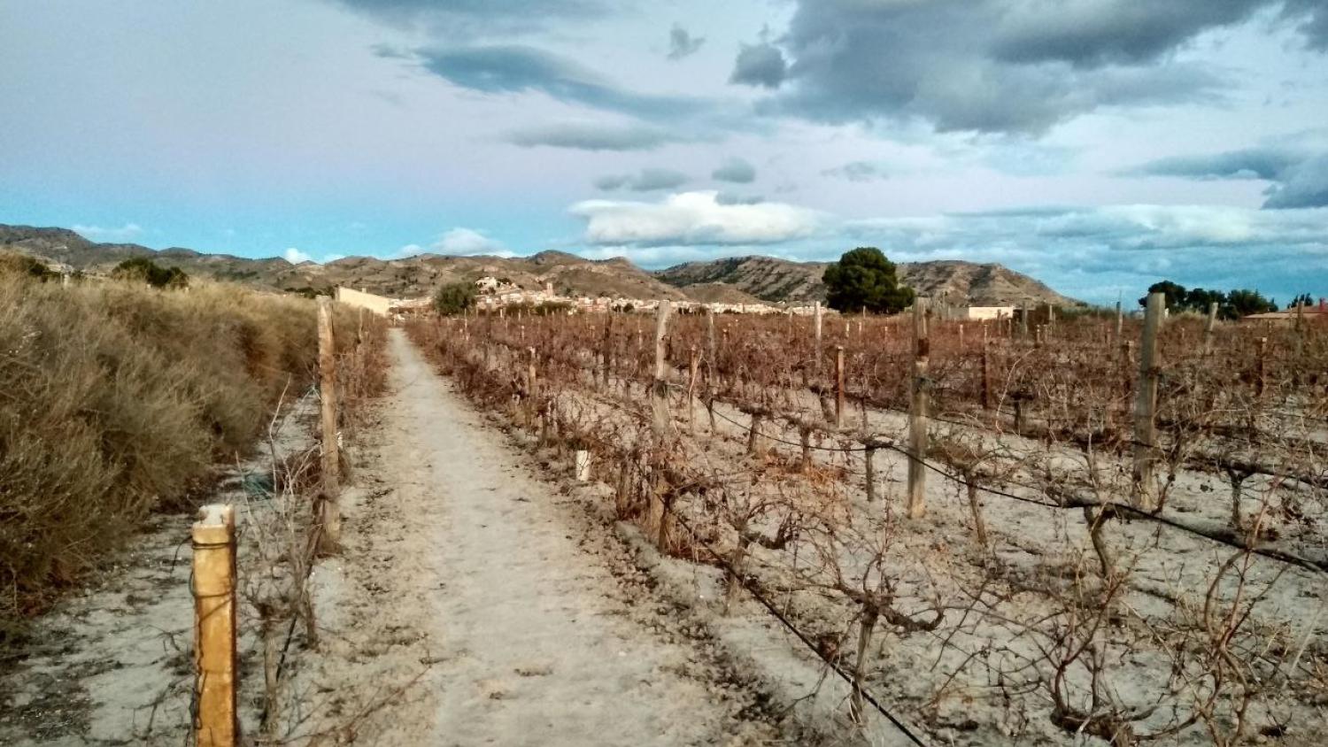  for sale plot Agost Alacantí 15