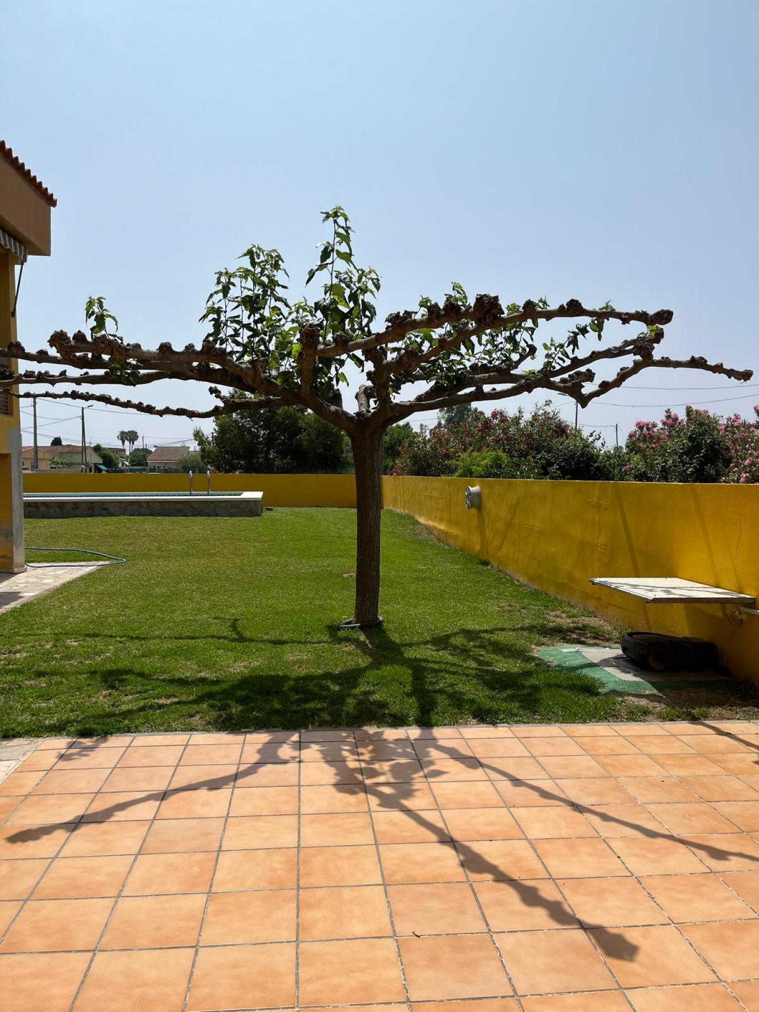  for sale villa Grao Plana Alta 32