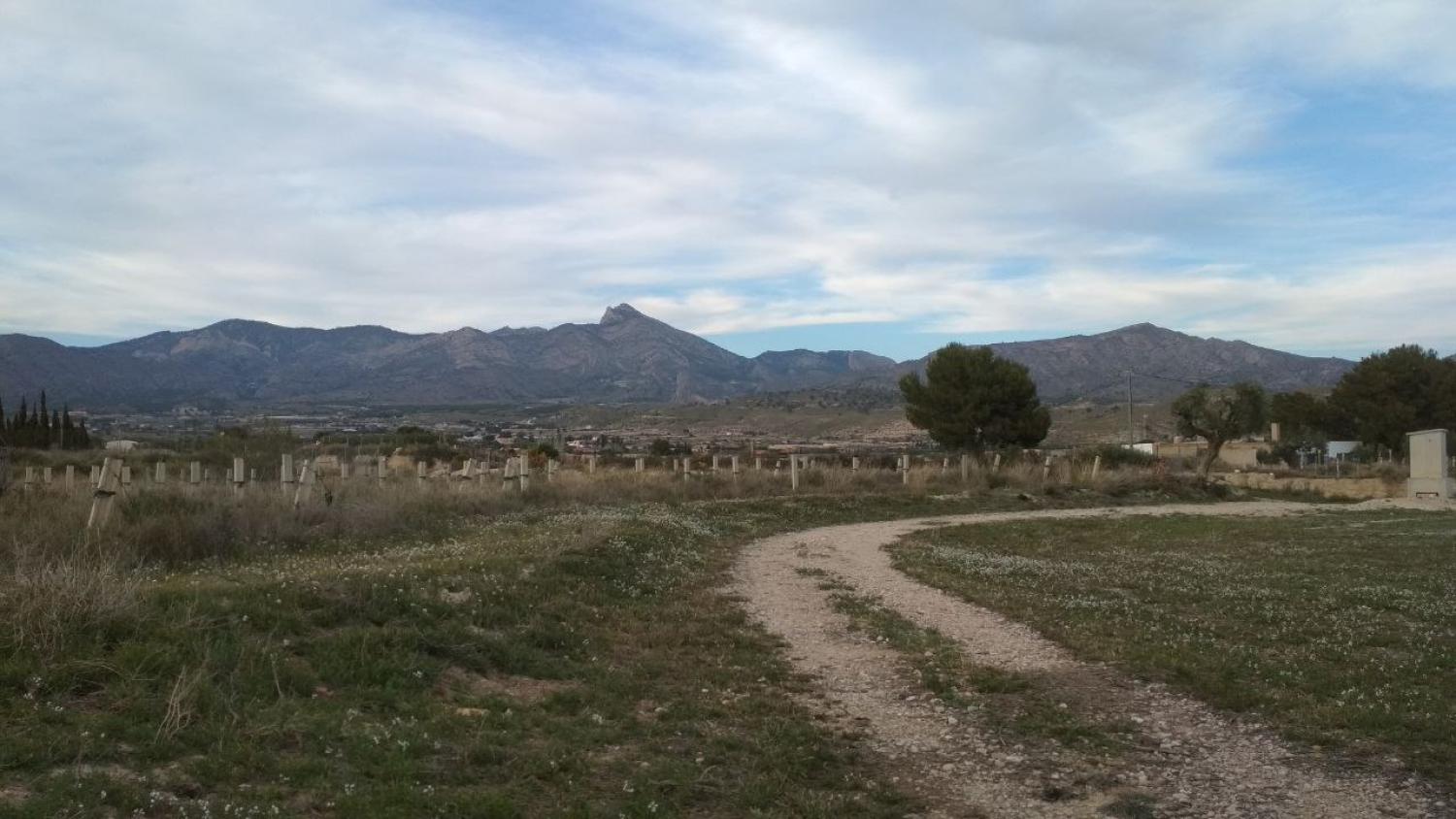  for sale plot Agost Alacantí 16