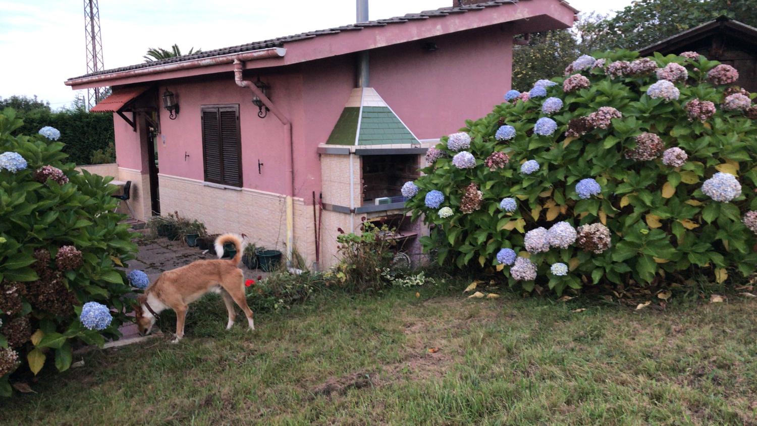  for sale country house Arguero Gijón 15
