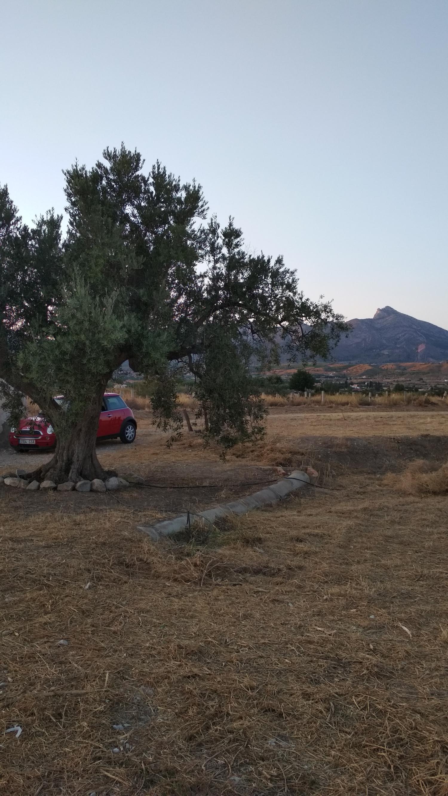  for sale plot Agost Alacantí 13