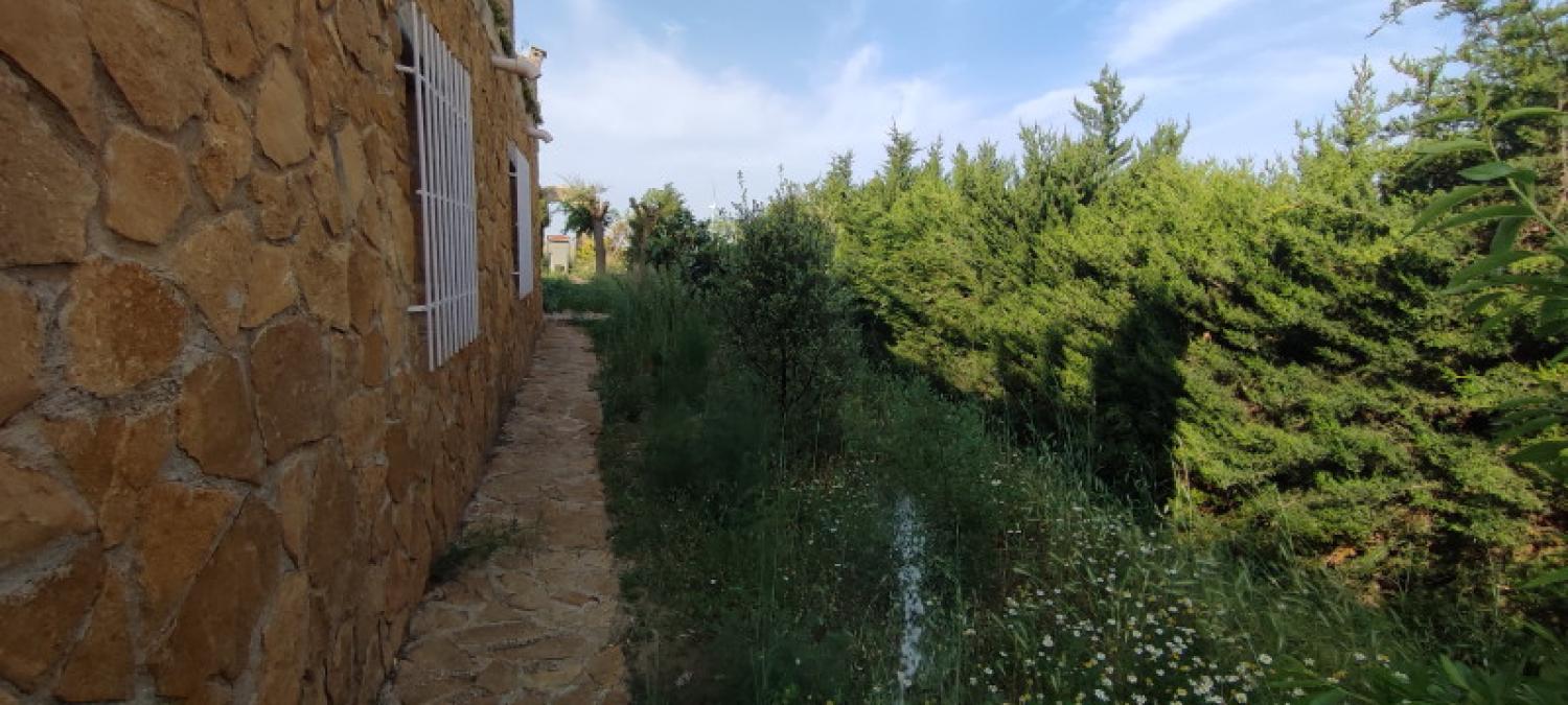  for sale house La Higuera Monte Ibérico Almansa 25