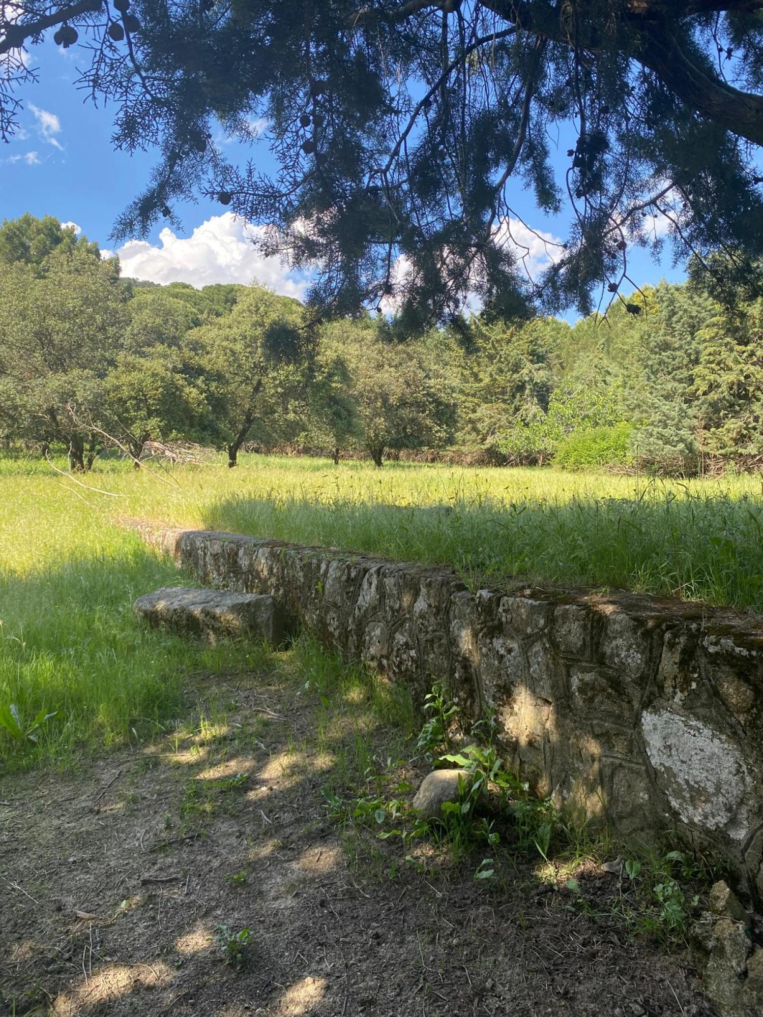  for sale plot Sotillo De La Adrada Valle Del Tiétar 3