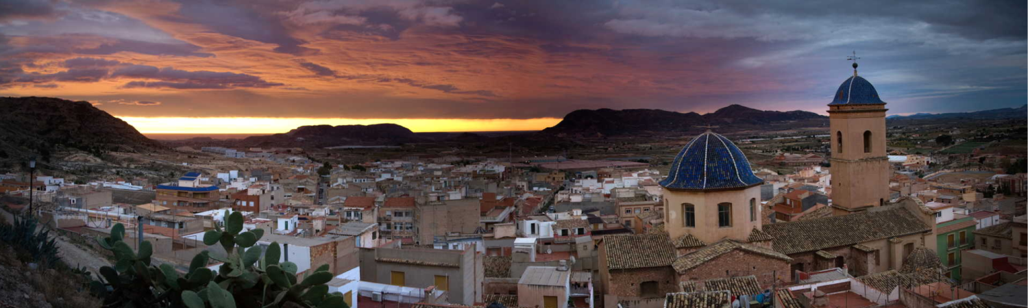  for sale plot Agost Alacantí 17