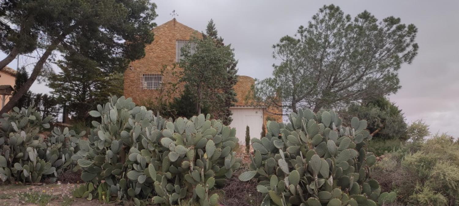  for sale house La Higuera Monte Ibérico Almansa 5
