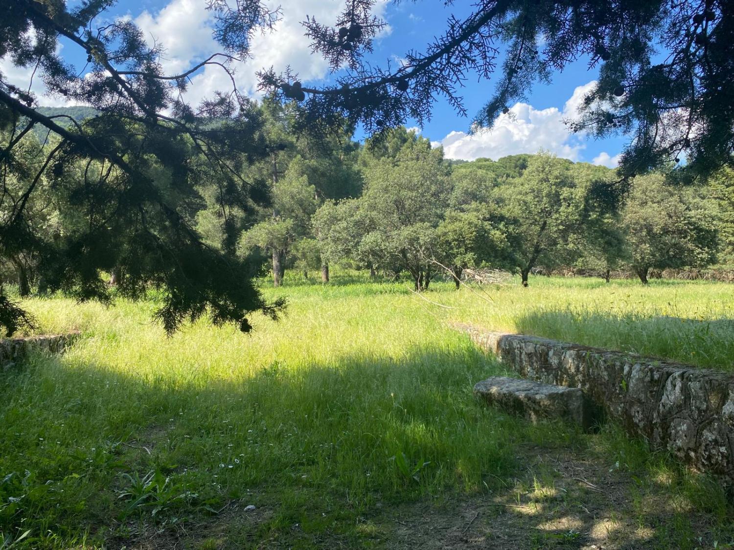  for sale plot Sotillo De La Adrada Valle Del Tiétar 1