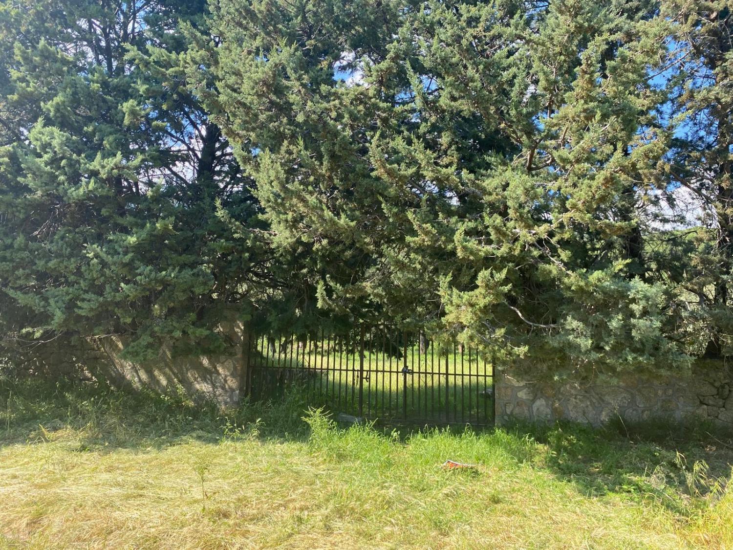  for sale plot Sotillo De La Adrada Valle Del Tiétar 6