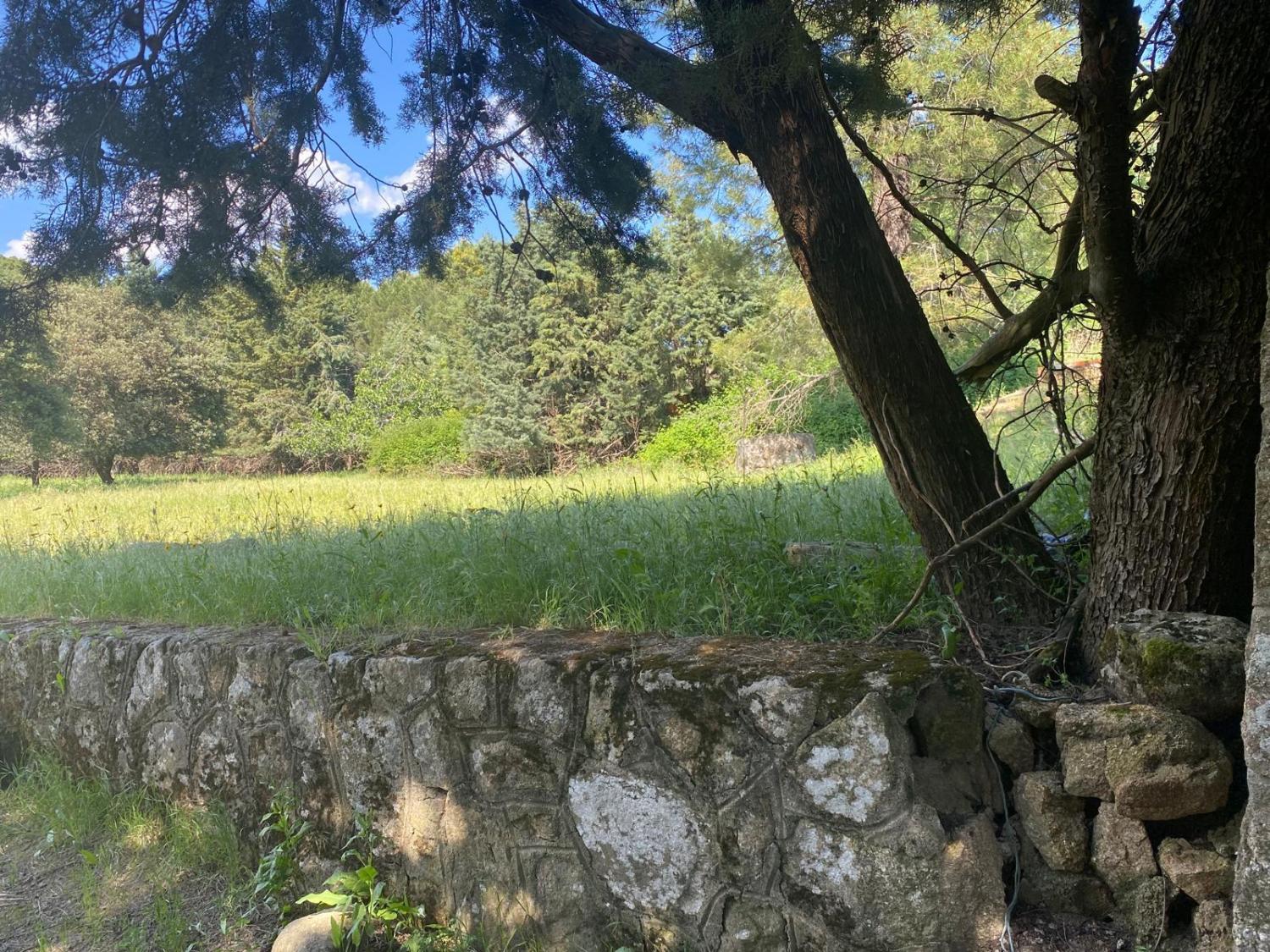  for sale plot Sotillo De La Adrada Valle Del Tiétar 4