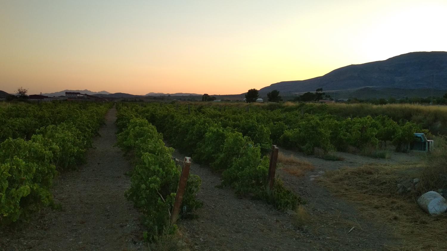  for sale plot Agost Alacantí 10