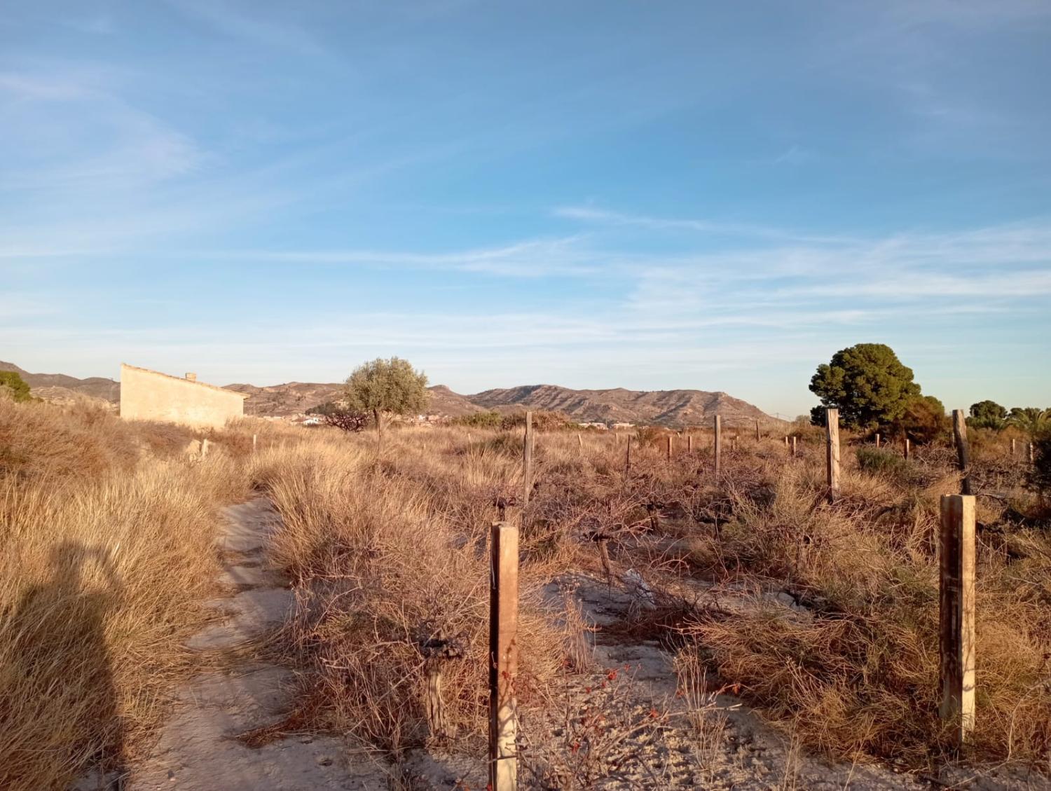  for sale plot Agost Alacantí 14