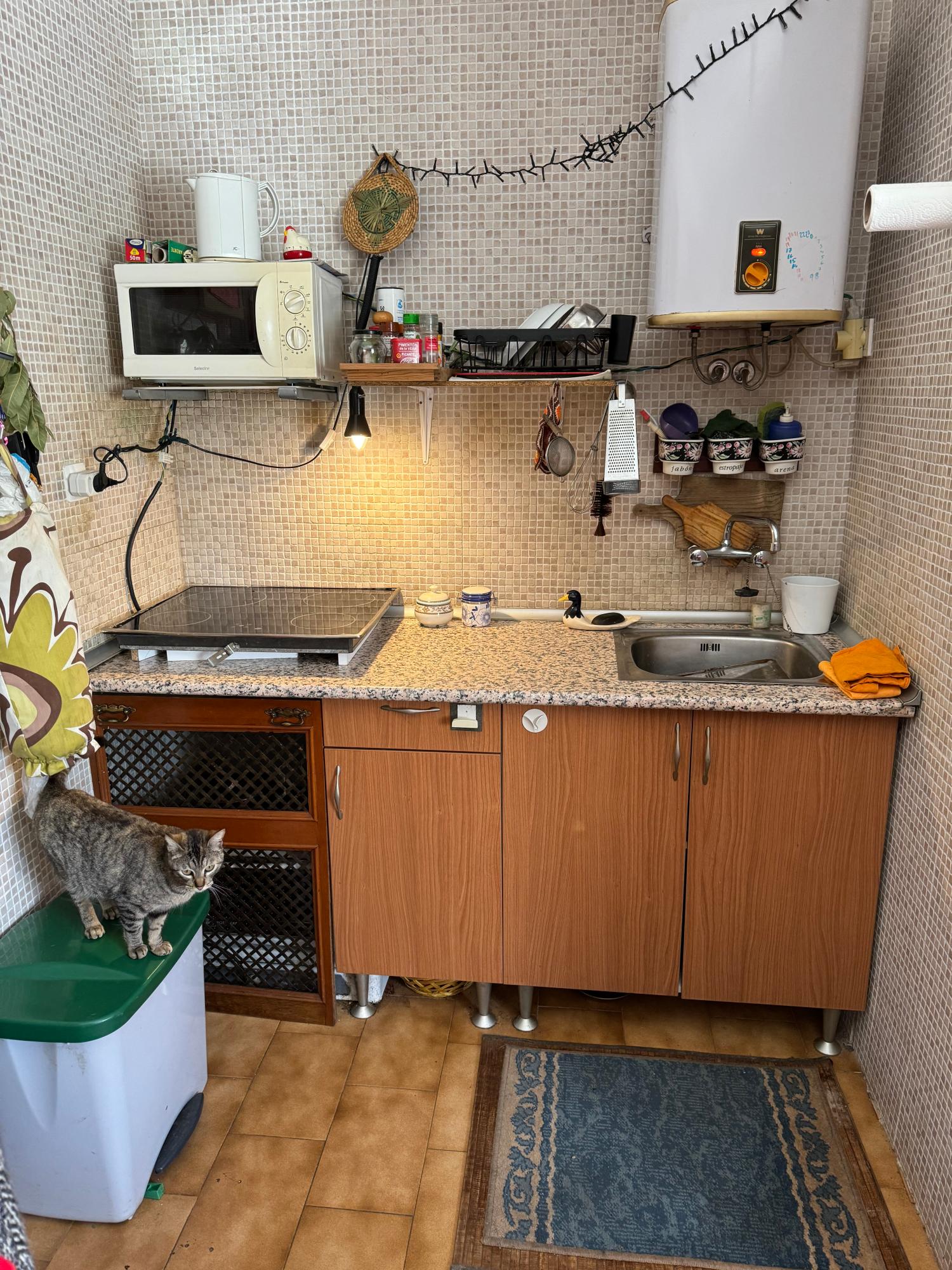  for sale country house Arguero Gijón 26