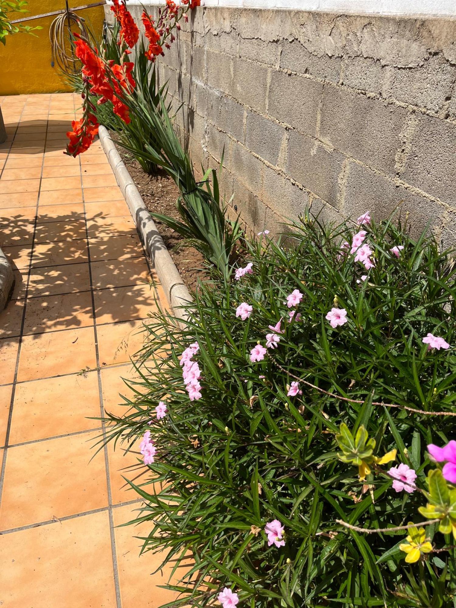  for sale villa Grao Plana Alta 50