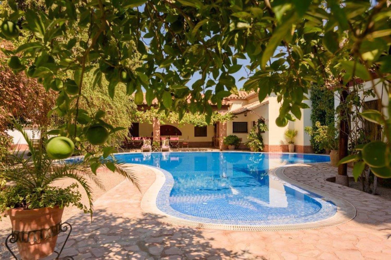  for sale villa Écija Écija 1