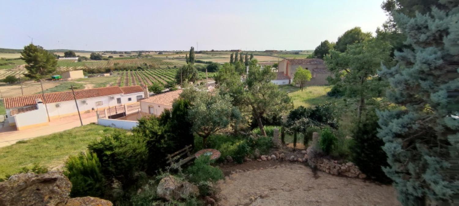  for sale house La Higuera Monte Ibérico Almansa 38