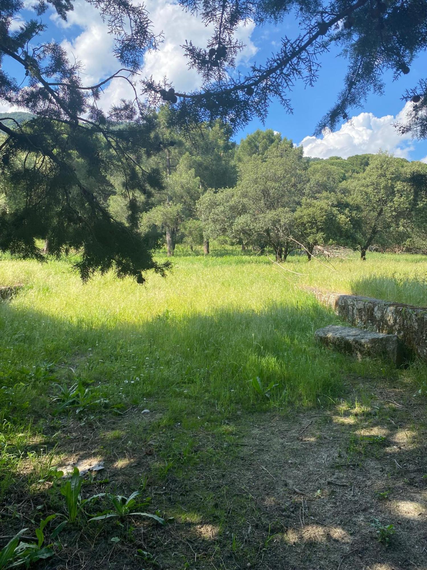  for sale plot Sotillo De La Adrada Valle Del Tiétar 8