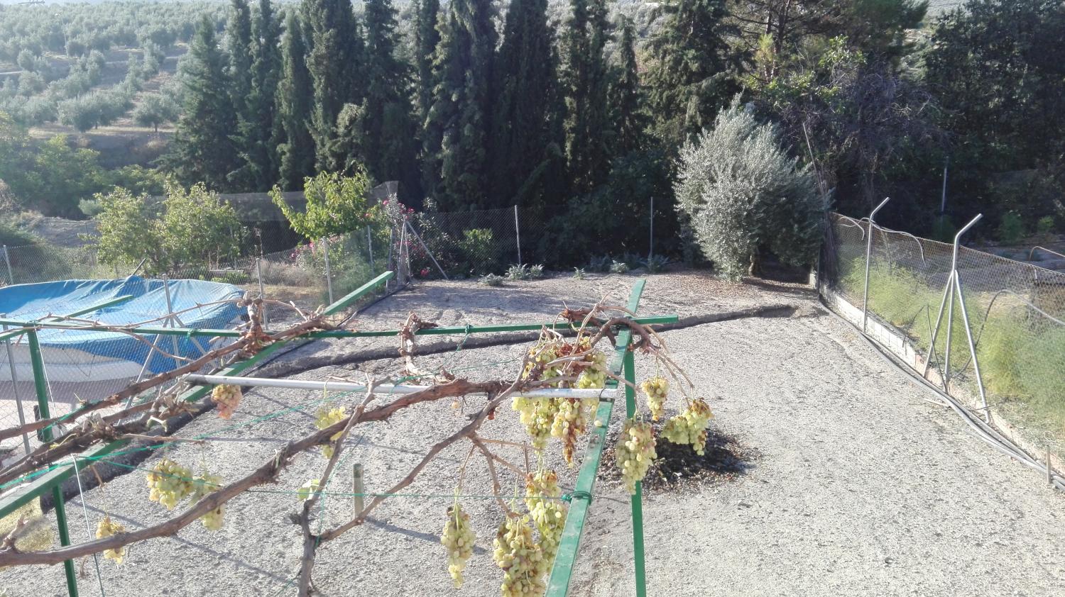  for sale terraced house Gutar Villas (Las) 18