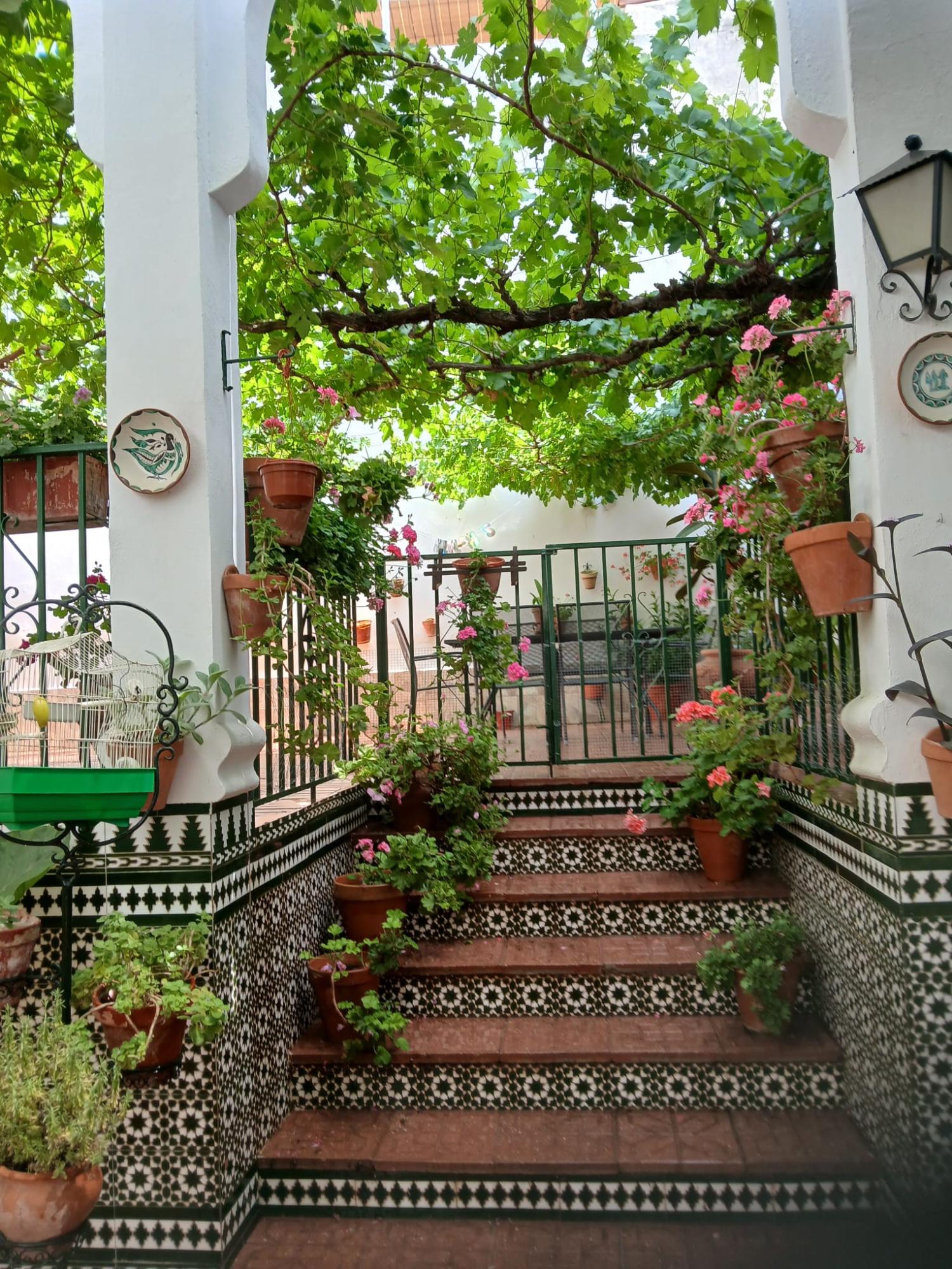  for sale house Cabra Subbética 26