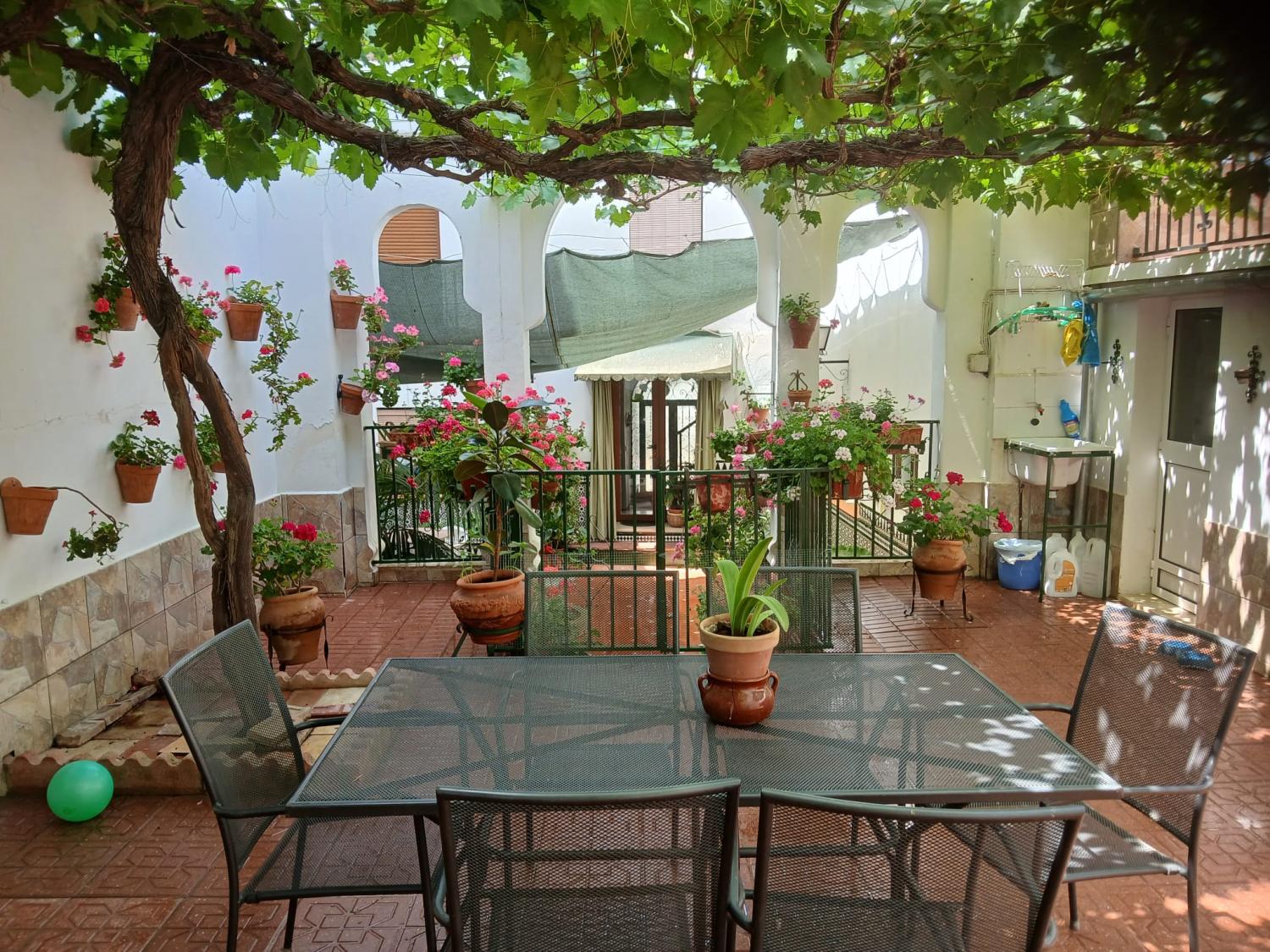  for sale house Cabra Subbética 19