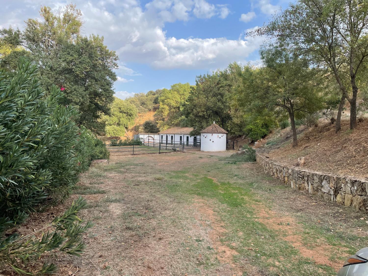  for sale country house Constantina Sierra Norte 30