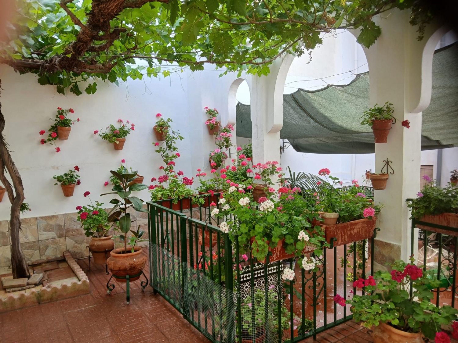  for sale house Cabra Subbética 27